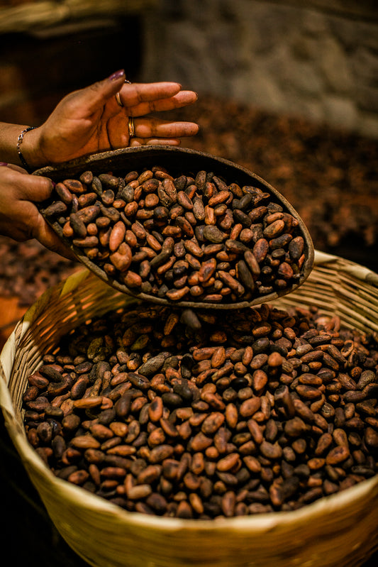 RUK'U'X ULEW ~Heart of the Earth~ CEREMONIAL CACAO - 454g BLOCK