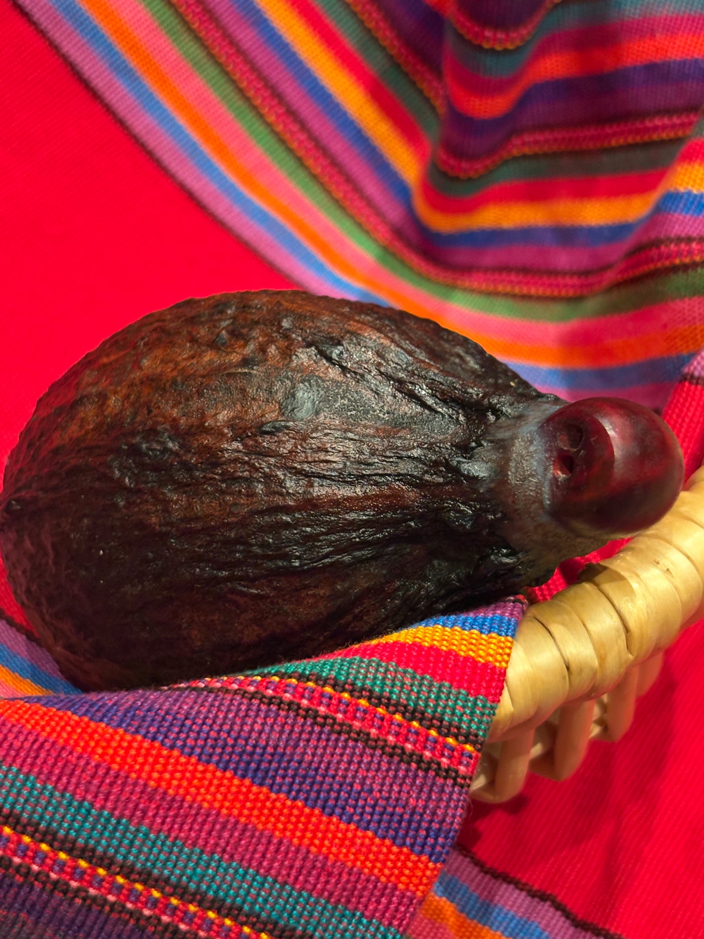 SONAJAS SAGRADAS ~ Sacred Cacao Rattles from Mexico