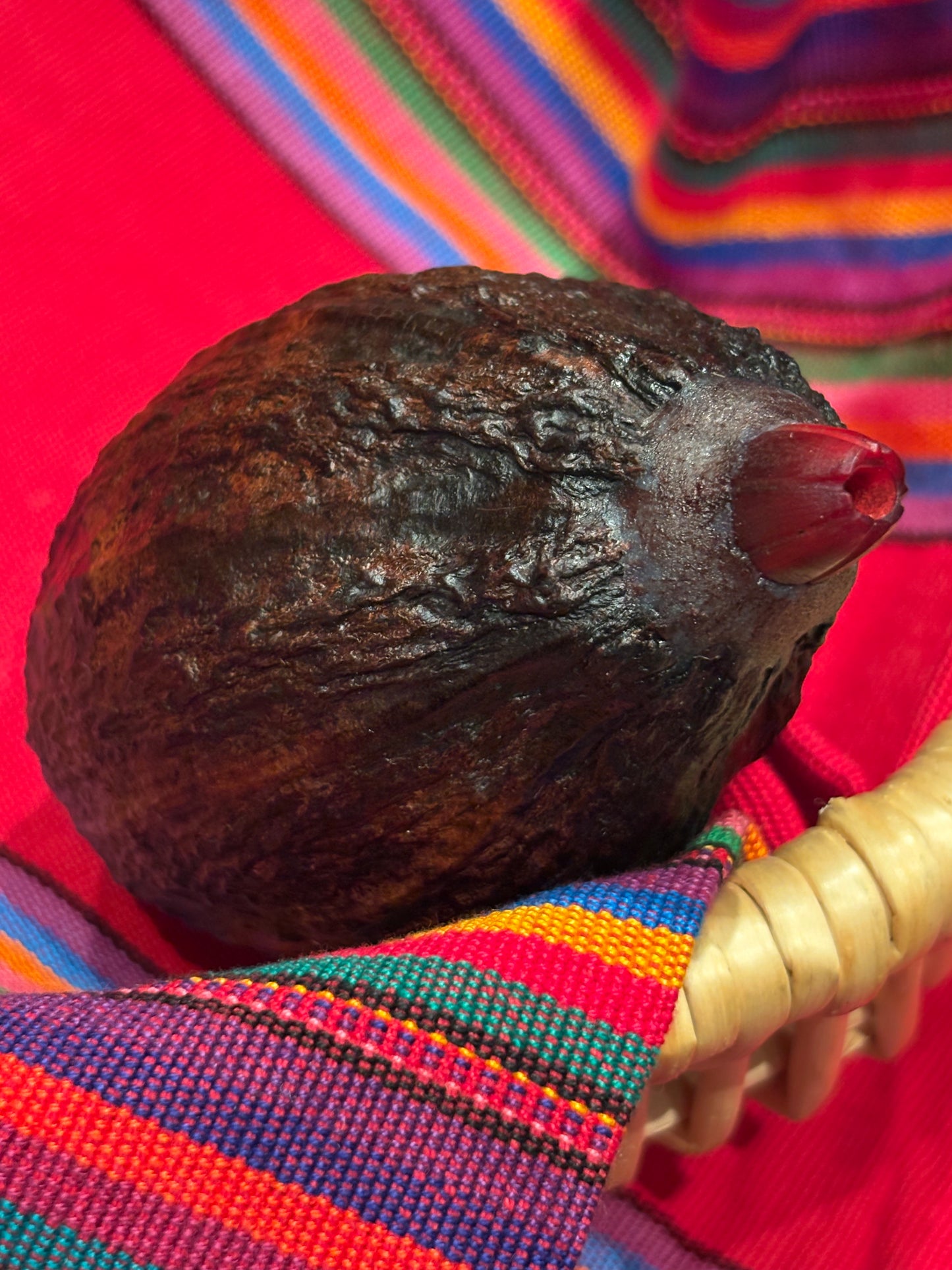 SONAJAS SAGRADAS ~ Sacred Cacao Rattles from Mexico