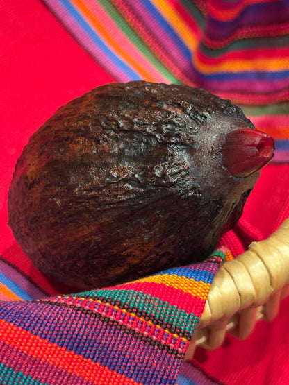 SONAJAS SAGRADAS ~ Sacred Cacao Rattles from Mexico