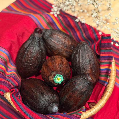 SONAJAS SAGRADAS ~ Sacred Cacao Rattles from Mexico
