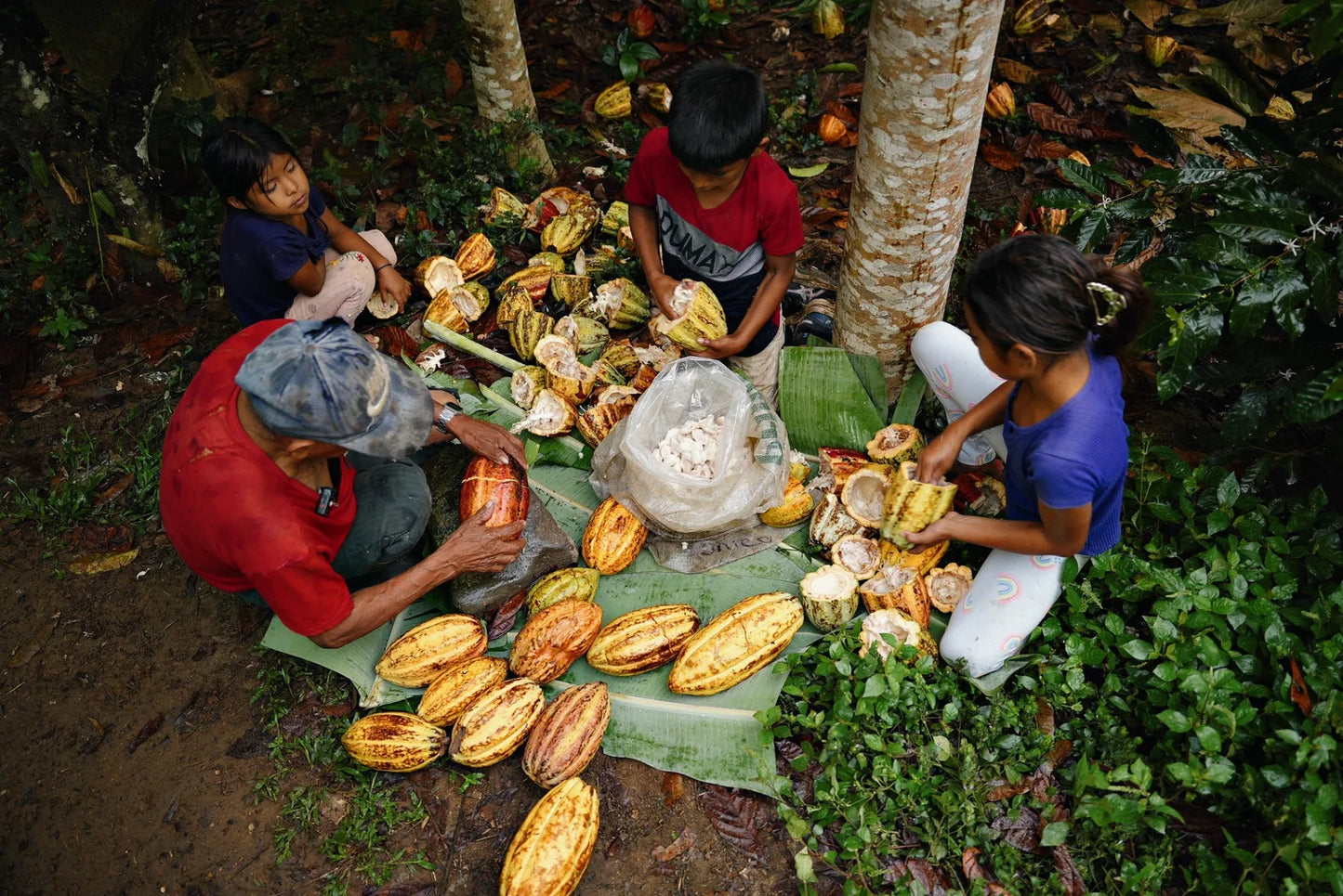 TUQTUQUILAL CEREMONIAL CACAO BLOCKS